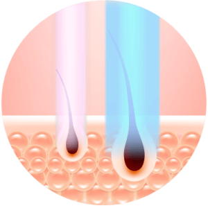 p2_img0-2b