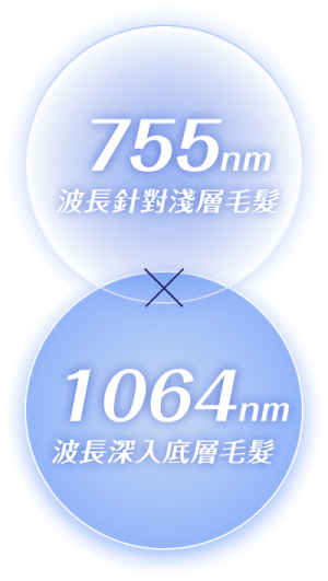 p2_img1-2